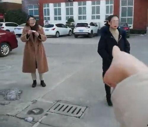 信阳爆料女子被打视频曝光,信阳街头暴力事件引发关注 第1张 信阳爆料女子被打视频曝光,信阳街头暴力事件引发关注 第1张